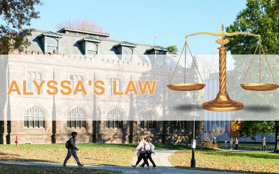 Alyssa's Law Compliance: Smarter Emergency Response for Safer Schools