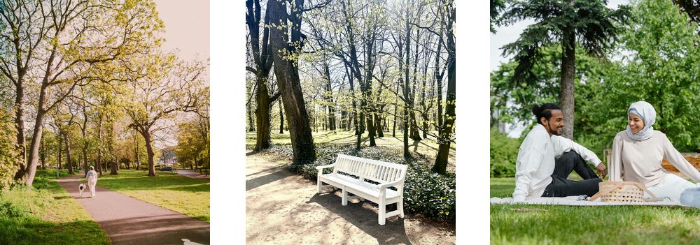 park ip audio solution
                        benefits