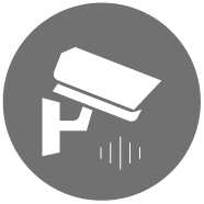 Voice intervention linked with video surveillance